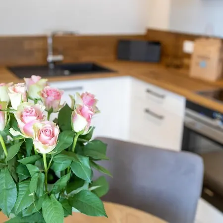 Dornkamp 5 - Luxurioese Fuer 2 Personen Inklusive Sauna Und Balkon *